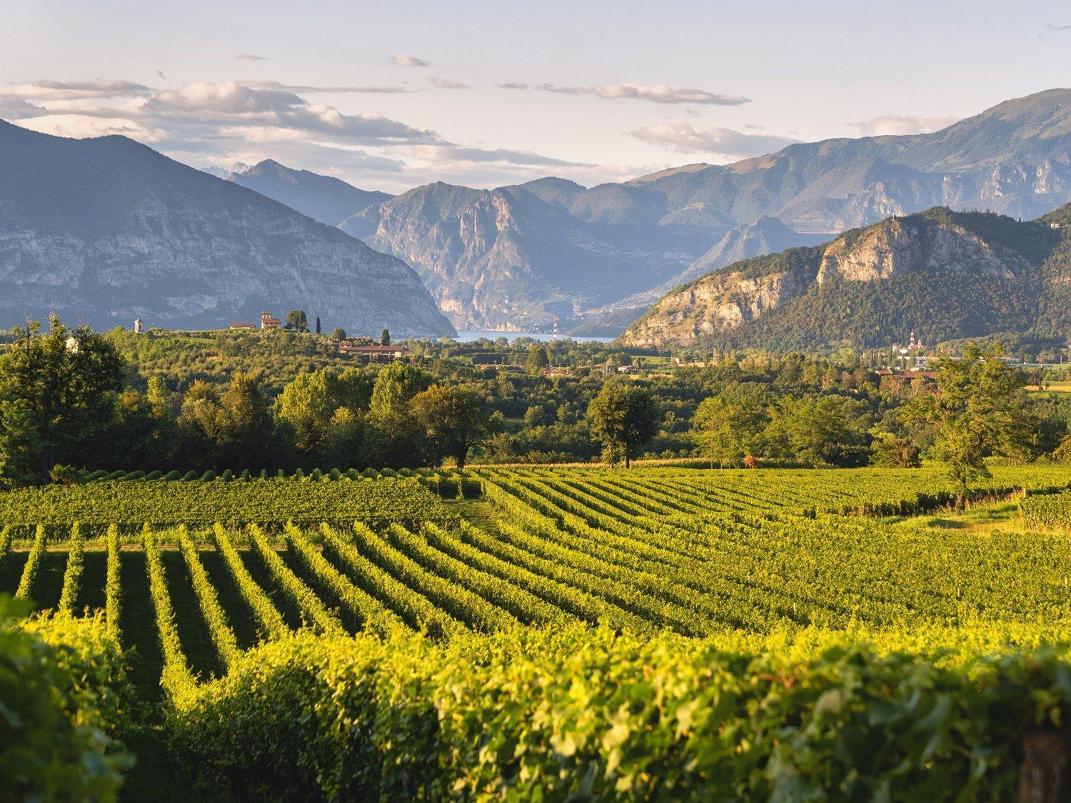 Apartmán La Corte Del Bona - Vicino Alle Cantine E A Circa 15 Minuti Dal Lago Di Iseo - Erbusco Exteriér fotografie